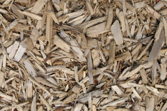 biomass boilers Tregeiriog