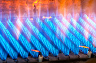 Tregeiriog gas fired boilers